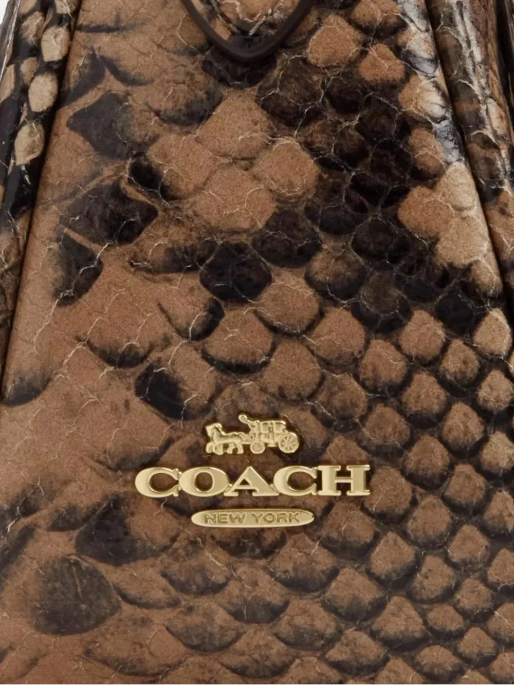 Coach NWOT Ashton Snakeprint Convertible Shoulder Crossbody Bag in Mushroom